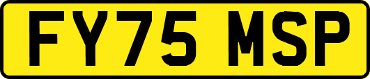 FY75MSP