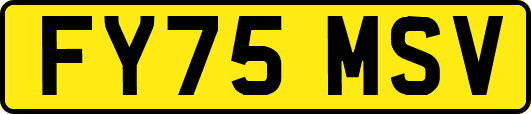 FY75MSV