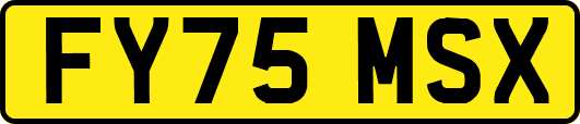 FY75MSX