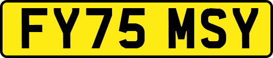FY75MSY