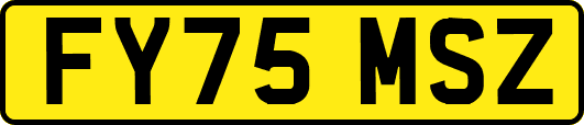 FY75MSZ