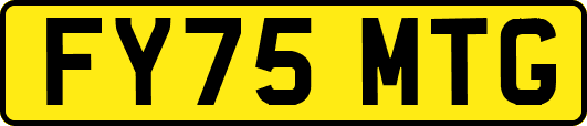 FY75MTG
