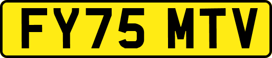 FY75MTV