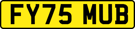 FY75MUB