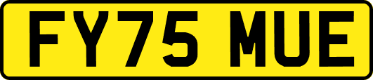 FY75MUE