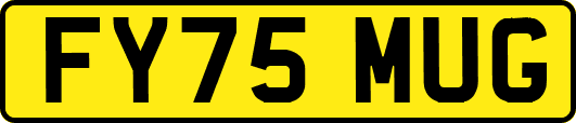 FY75MUG
