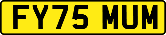 FY75MUM