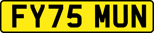 FY75MUN