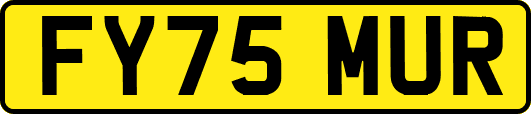 FY75MUR
