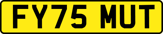 FY75MUT