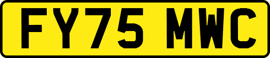 FY75MWC