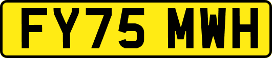 FY75MWH