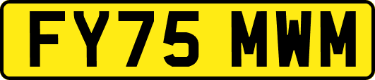FY75MWM