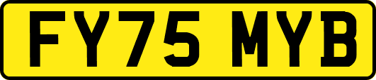 FY75MYB