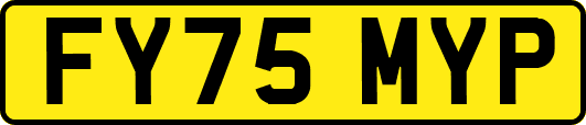 FY75MYP