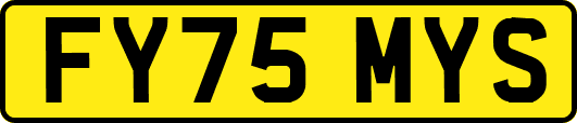 FY75MYS