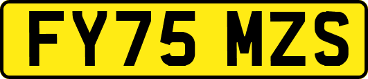 FY75MZS