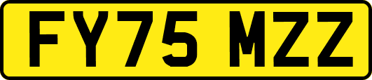 FY75MZZ