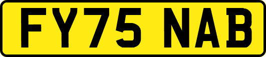 FY75NAB
