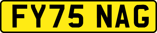 FY75NAG