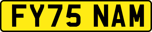 FY75NAM