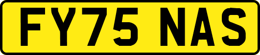 FY75NAS