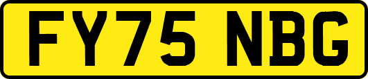 FY75NBG