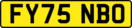 FY75NBO