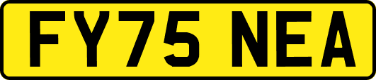 FY75NEA
