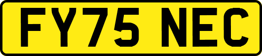 FY75NEC