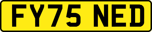 FY75NED