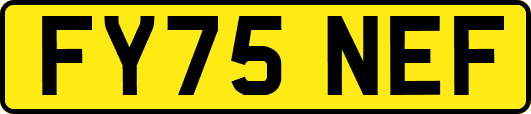 FY75NEF