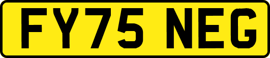 FY75NEG