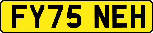 FY75NEH