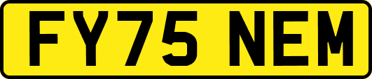 FY75NEM