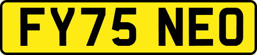 FY75NEO