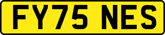 FY75NES