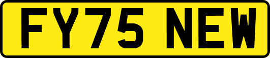 FY75NEW