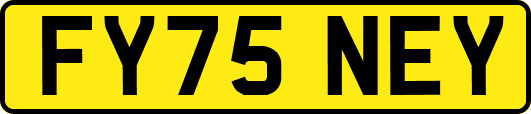 FY75NEY