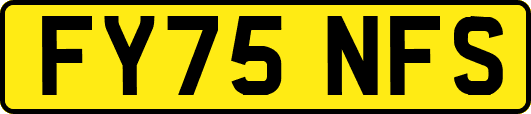 FY75NFS