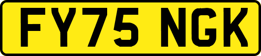 FY75NGK