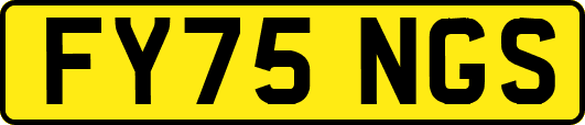 FY75NGS