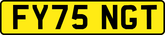 FY75NGT