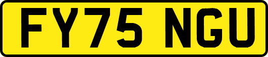 FY75NGU