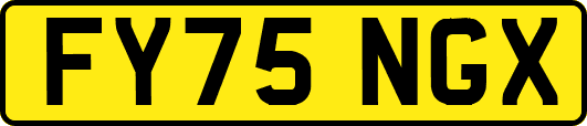 FY75NGX