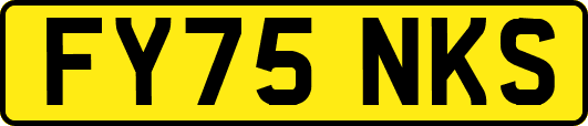 FY75NKS