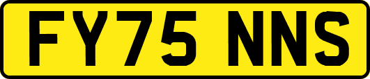 FY75NNS