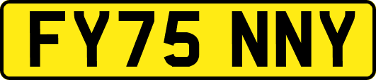 FY75NNY