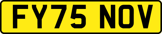 FY75NOV