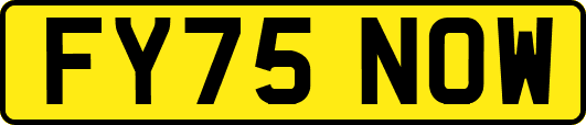 FY75NOW